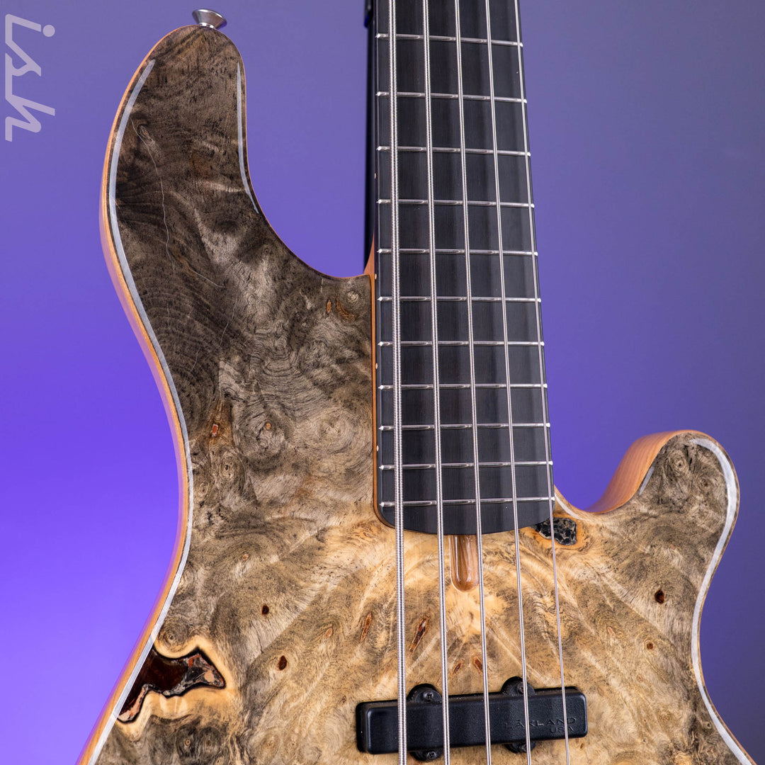 2020-2021 Lakland 55-94 Deluxe 5-String burl maple