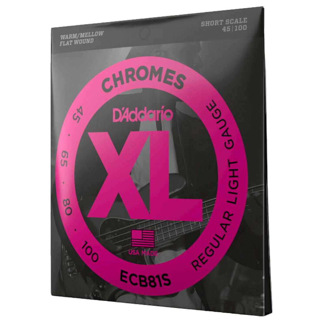 D’Addario ECB81S Regular Light 45-100 Flat Wound Bass Strings Short Scale