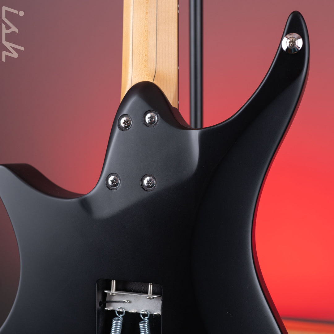 Strandberg Boden Classic NX 6 Tremolo Black Rosewood