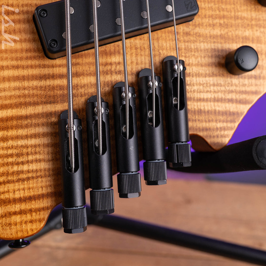 2024 Strandberg Boden Prog 5 Bass Natural