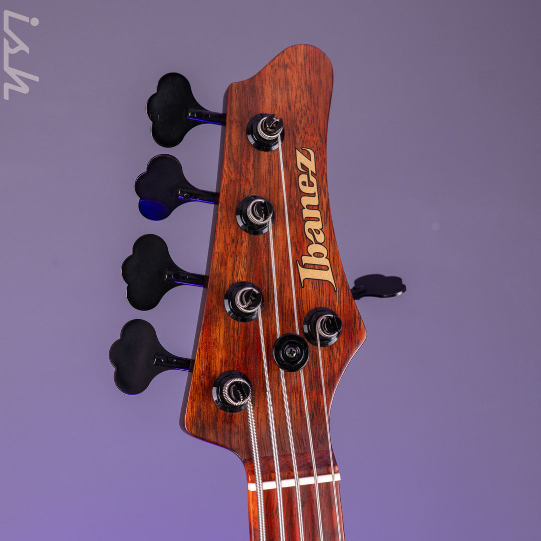 Ibanez IV2MDM Japan Custom Shop MDM Visions 5-String Bass