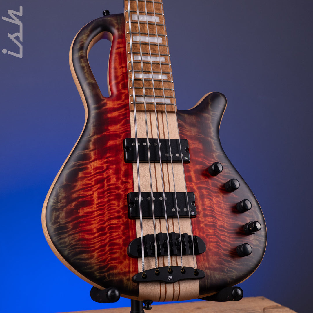 Mayones Caledonius 5 Curly Poplar