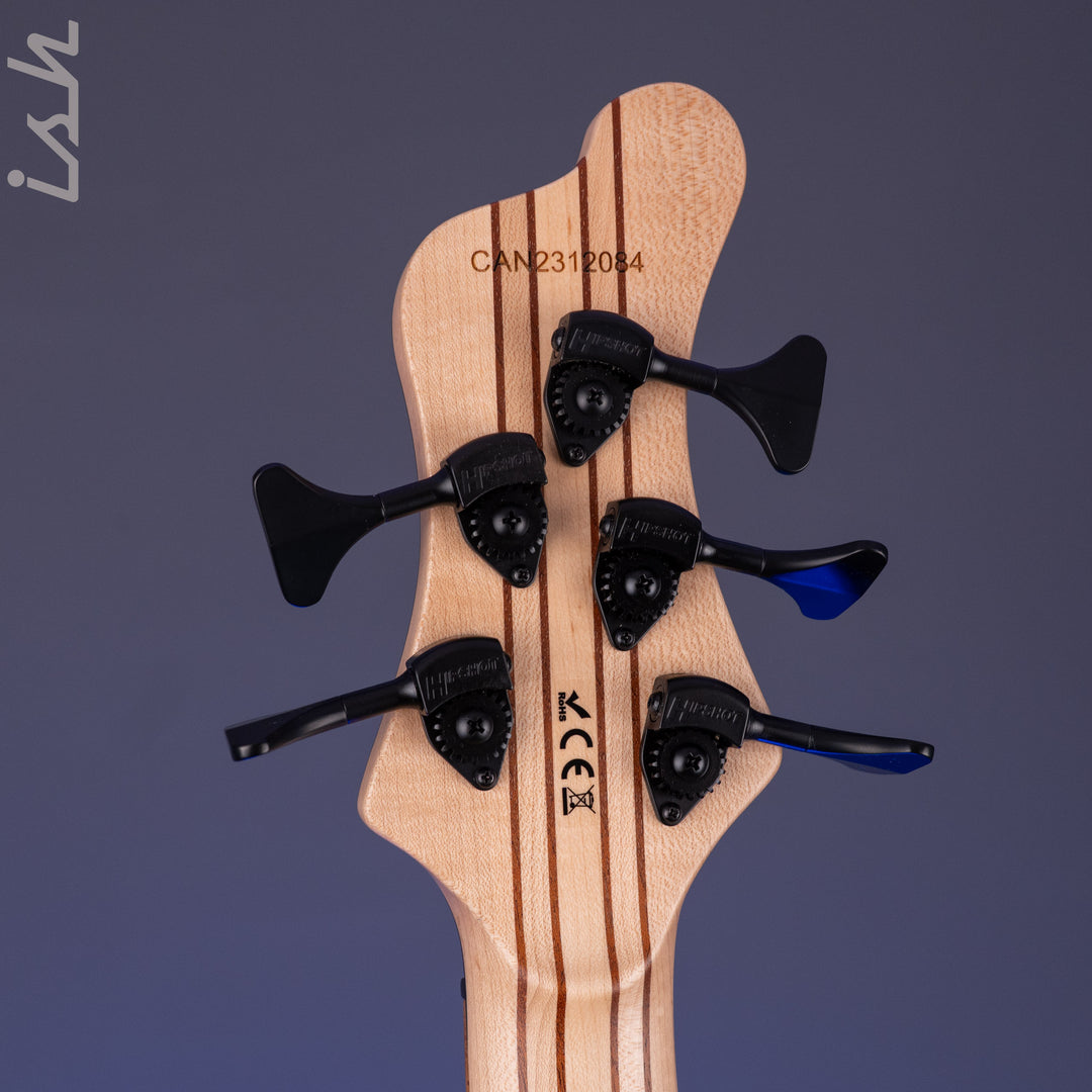 Mayones Caledonius 5 Curly Poplar