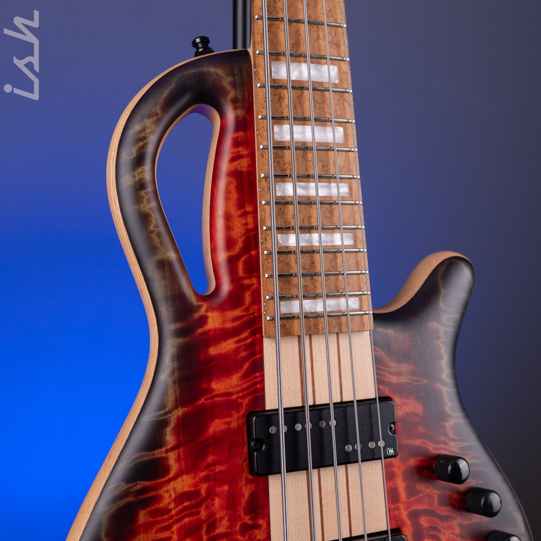 Mayones Caledonius 5 Curly Poplar