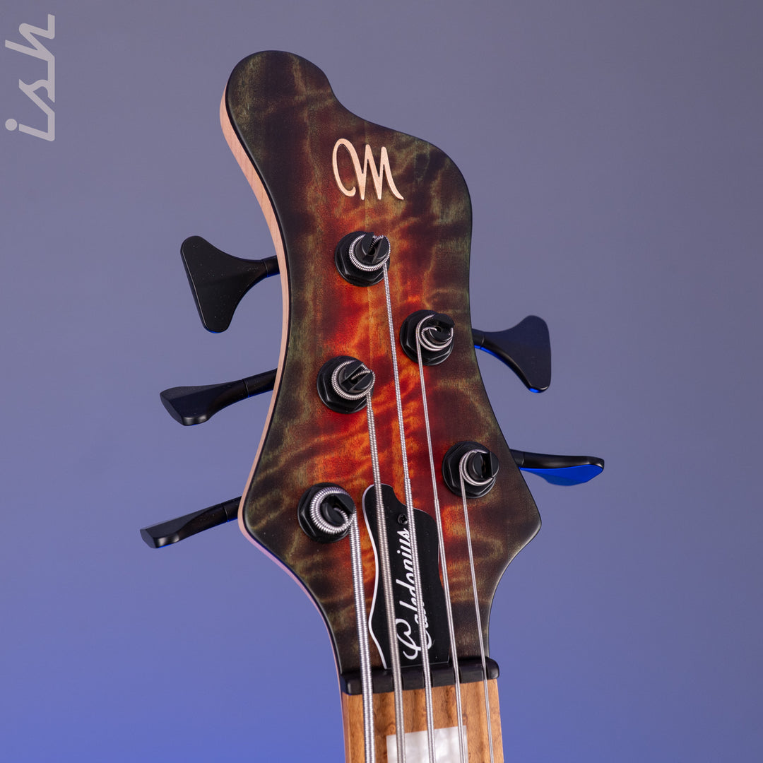 Mayones Caledonius 5 Curly Poplar