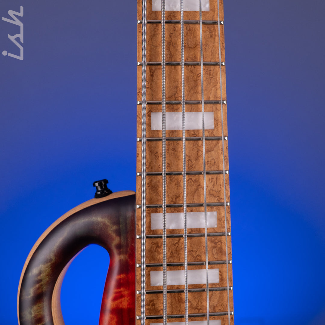 Mayones Caledonius 5 Curly Poplar