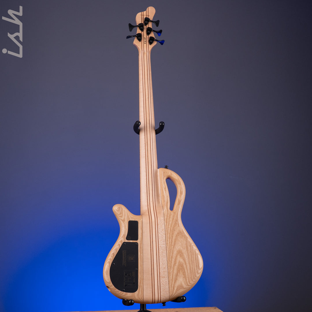 Mayones Caledonius 5 Curly Poplar