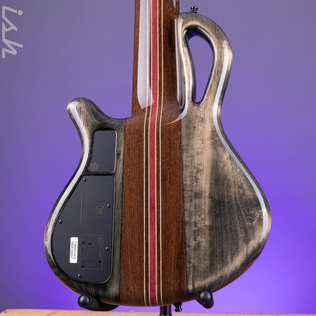 Mayones Caledonius 6-String Bass Curly Poplar Custom Color *Guitar Summit 2026*