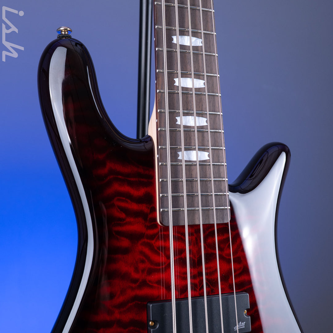 Spector ICON NS-5 Bolt-On Black Cherry Gloss