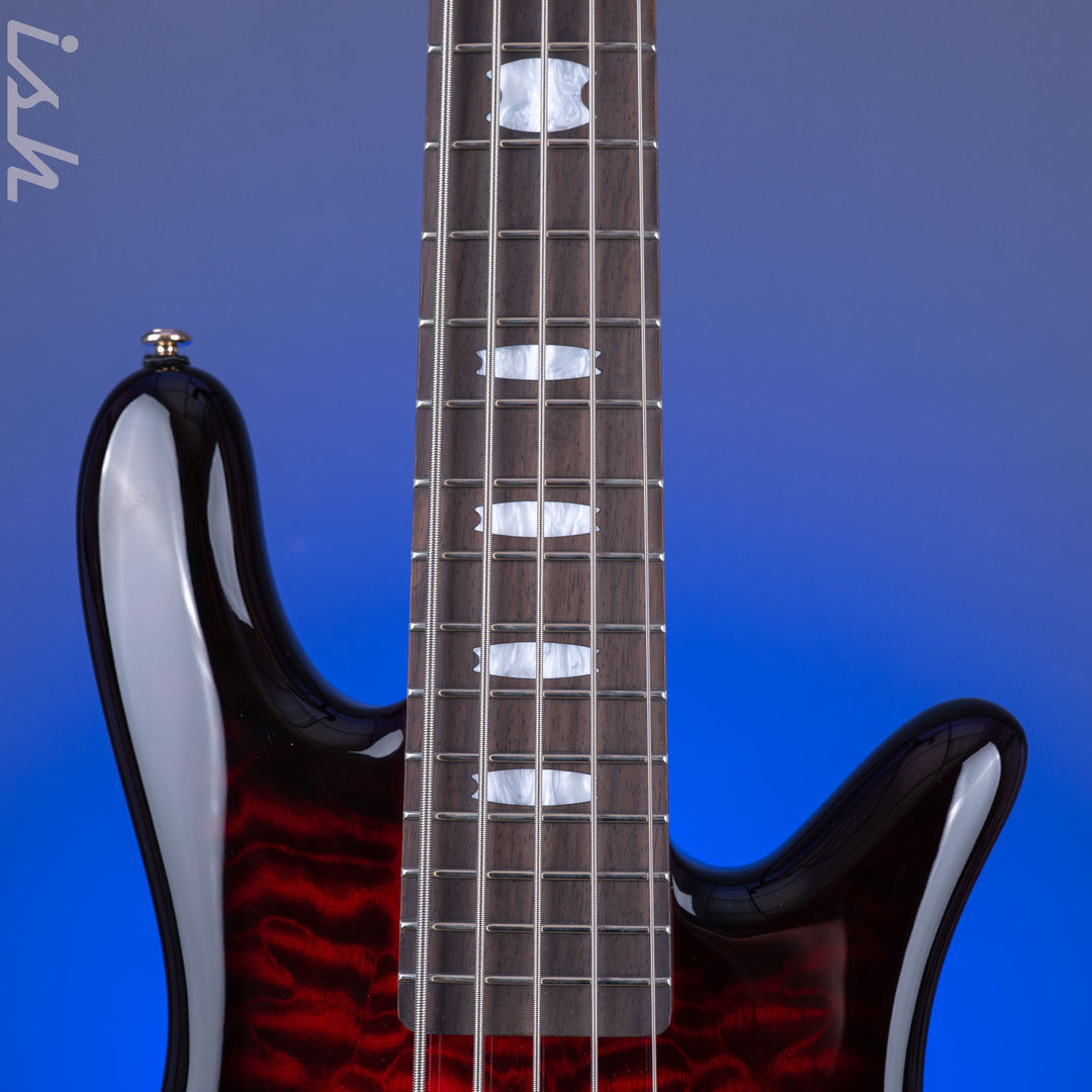 Spector ICON NS-5 Bolt-On Black Cherry Gloss