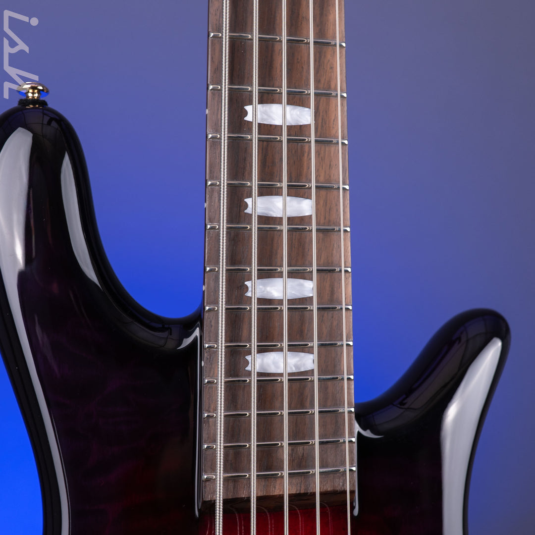 Spector ICON NS-5 Neck Through Purple Cherry *New Release*