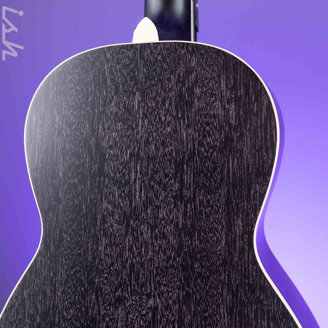 PRS SE Parlor P20E Dog Hair *2025 Release!*