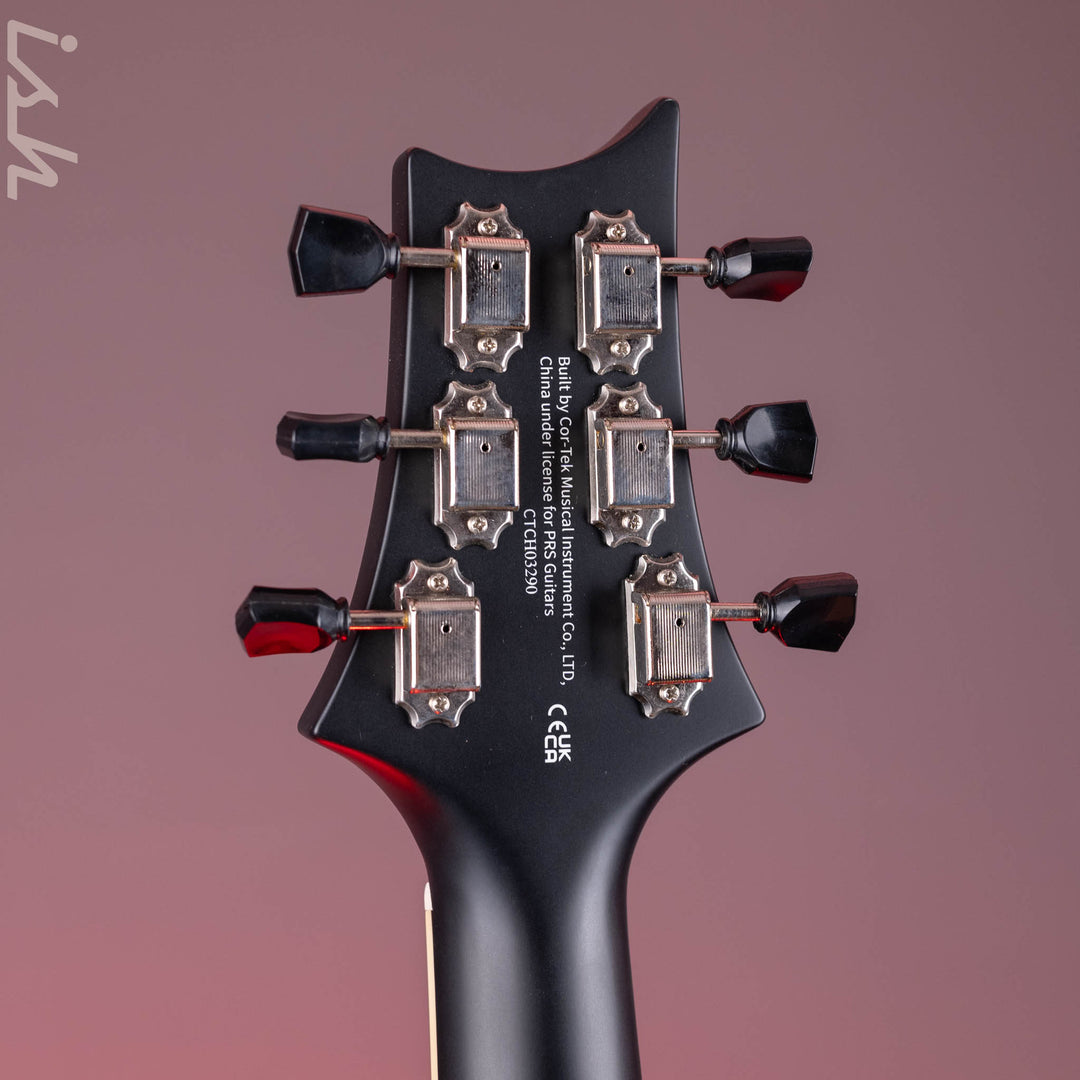 PRS SE Parlor P20E Dog Hair *2025 Release!*