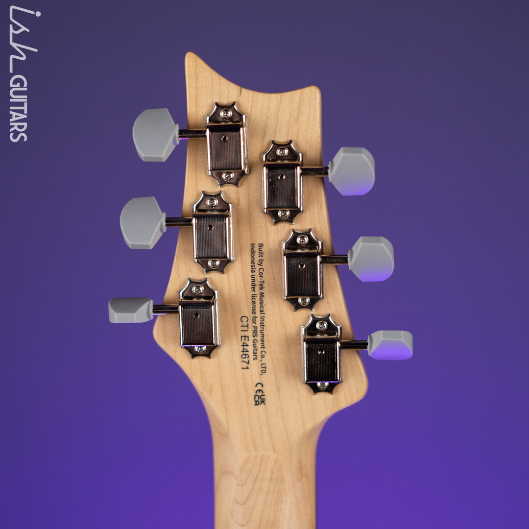 PRS SE Silver Sky Ever Green