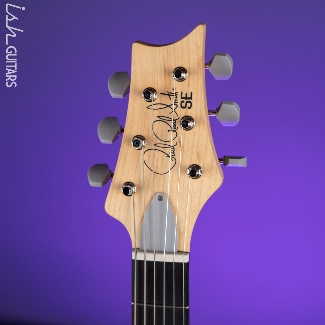 PRS SE Silver Sky Ever Green