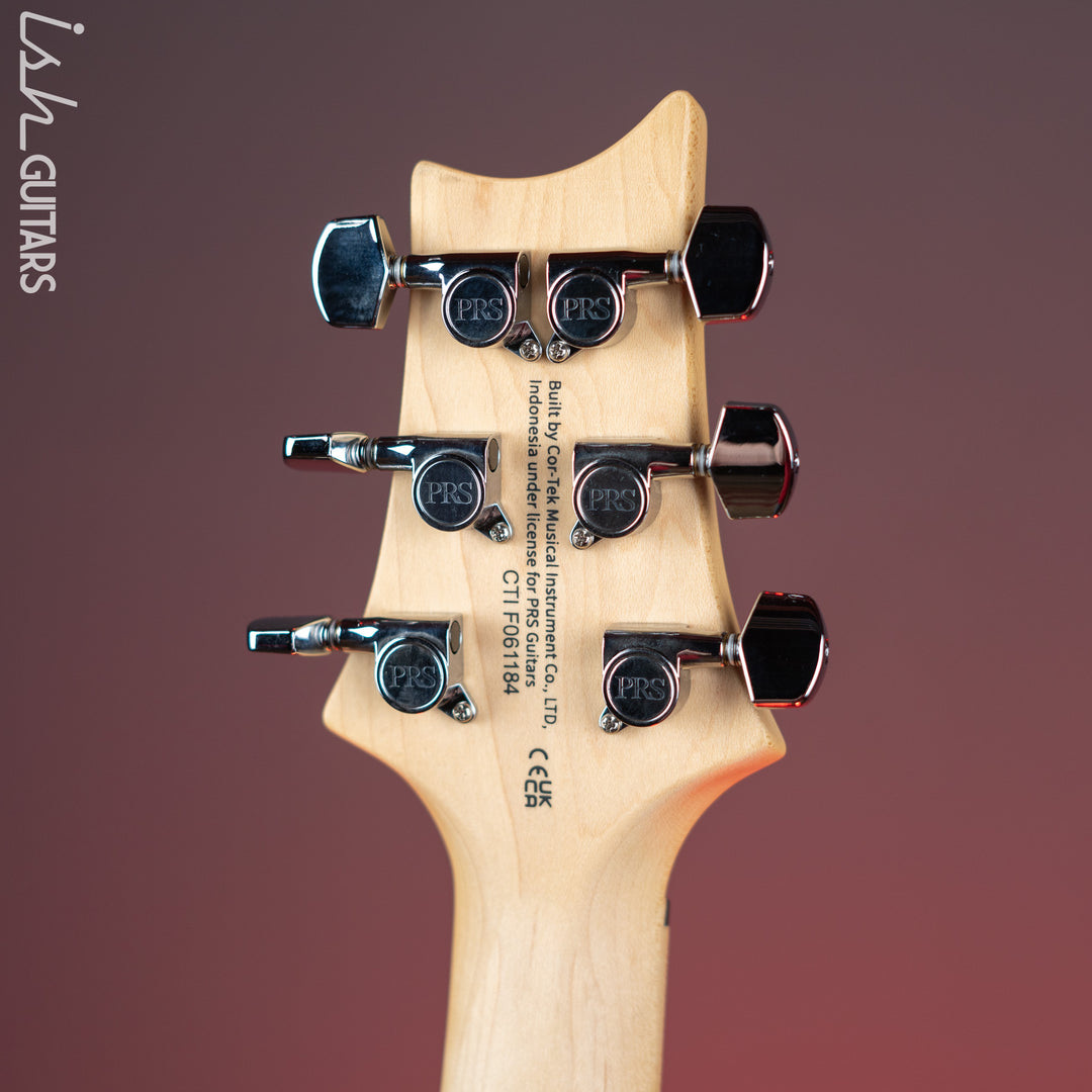 PRS SE Swamp Ash Special Iri Blue Electric Guitar