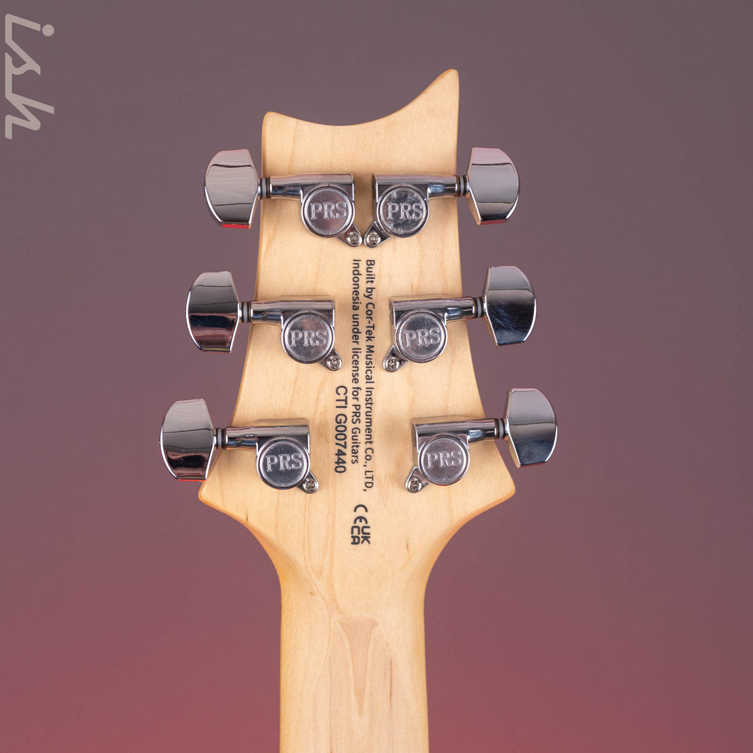 PRS SE Swamp Ash Special Electric Guitar Iri Blue