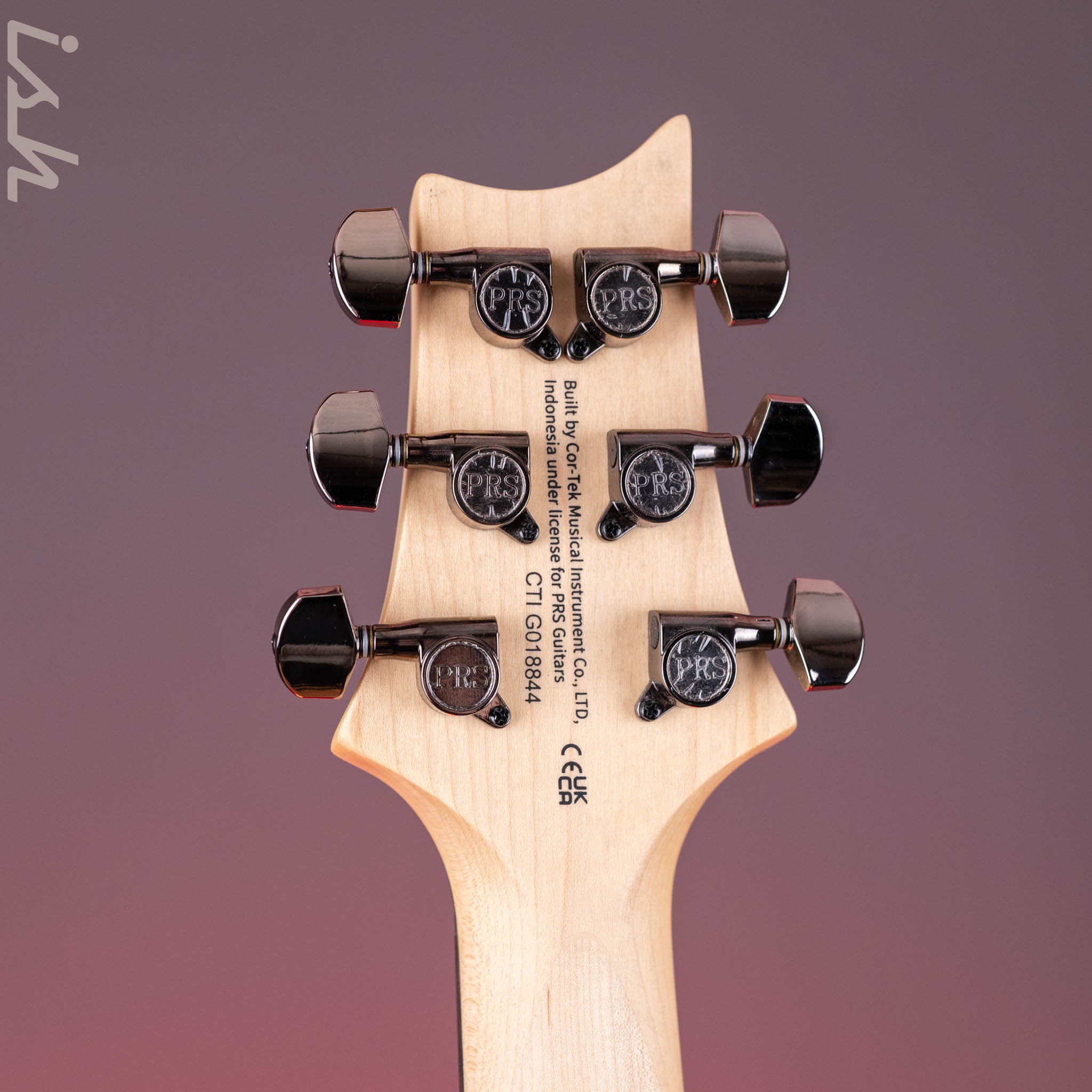 PRS SE Swamp Ash CE 24 Limited Edition Sandblasted Purple – Ish