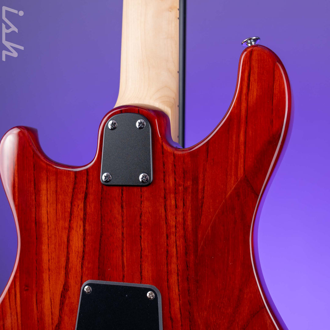 PRS SE Swamp Ash Special Electric Guitar Vintage Sunburst