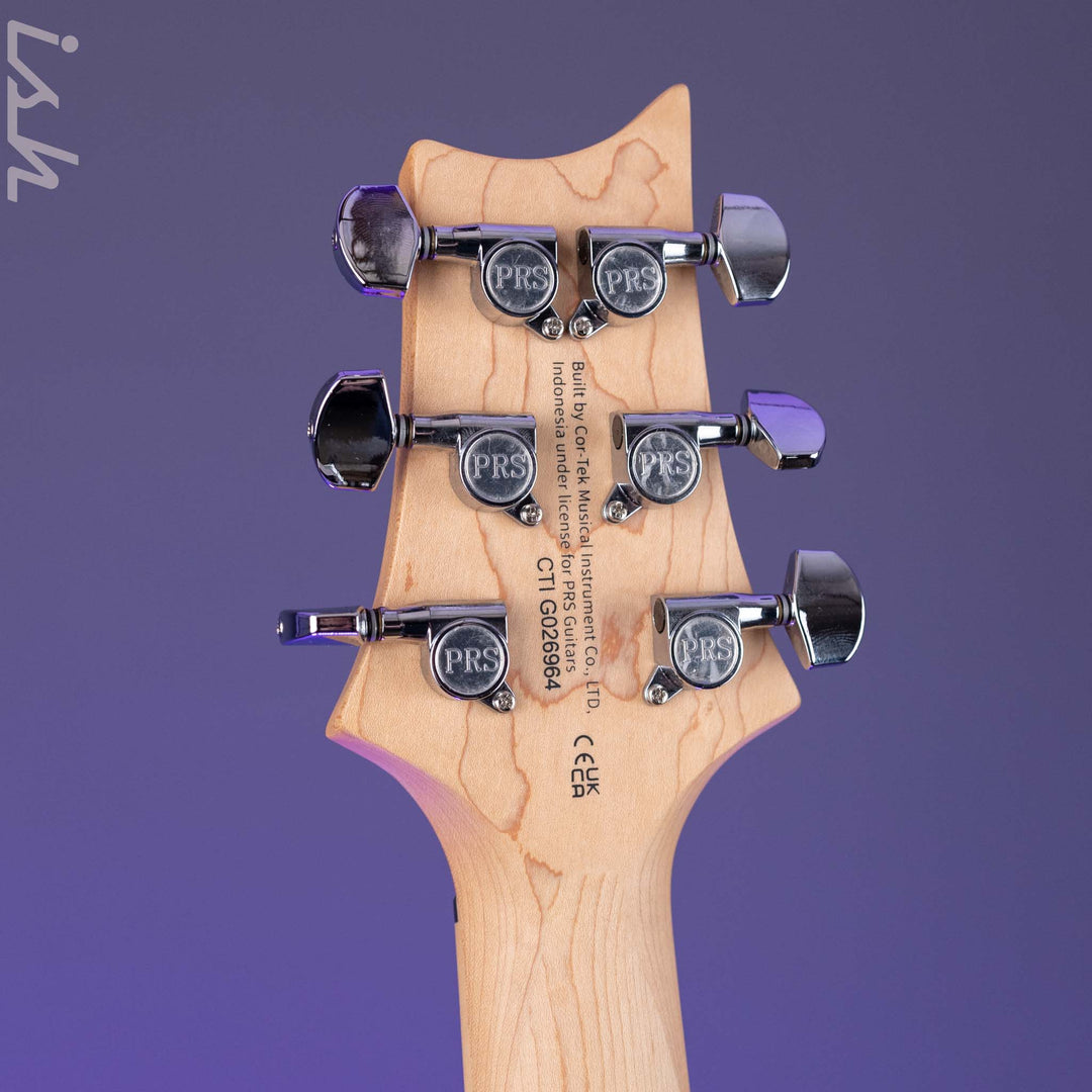 PRS SE Swamp Ash Special Electric Guitar Vintage Sunburst Demo