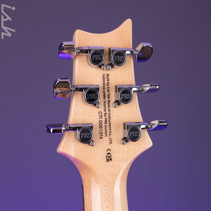 PRS SE Custom 24 Turquoise