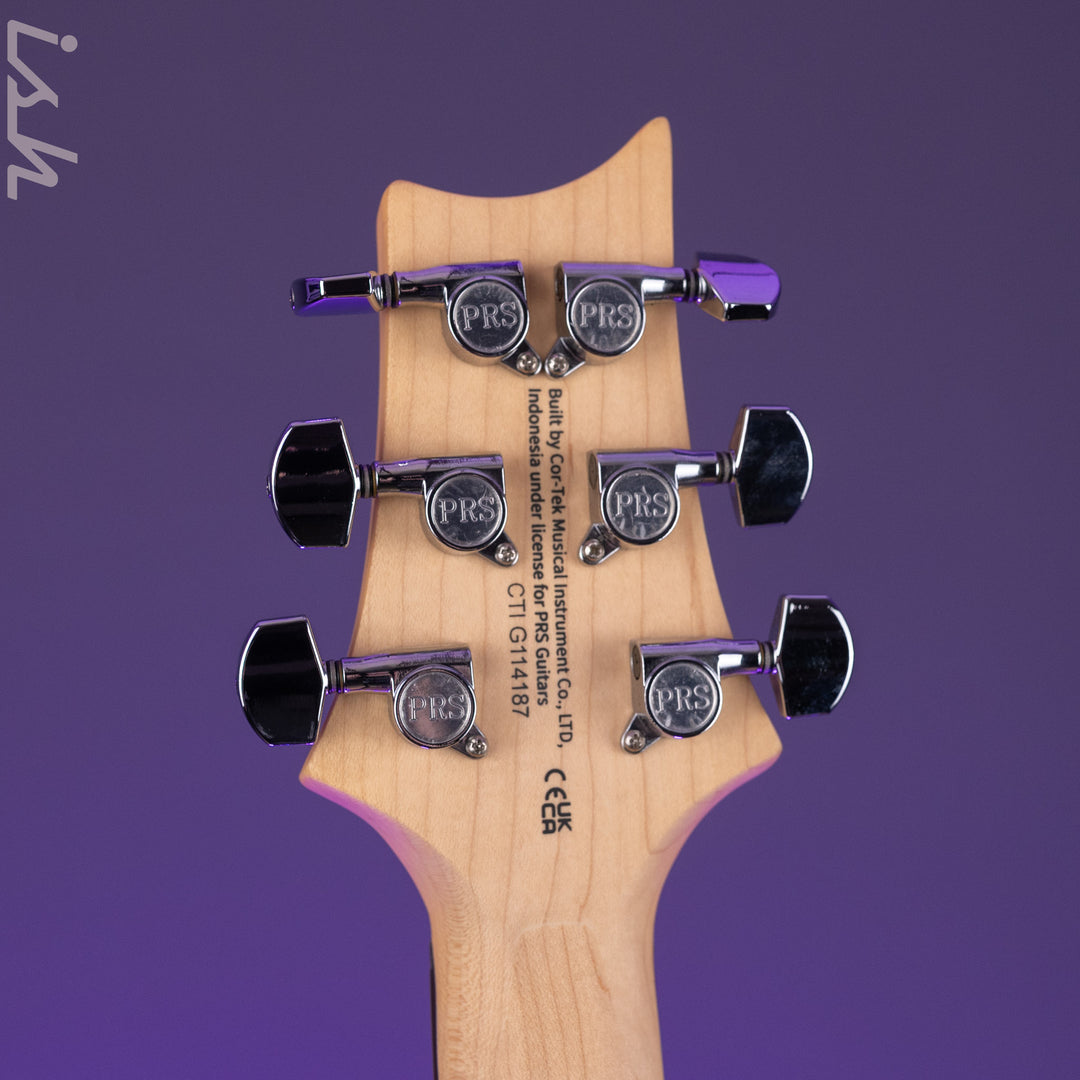 PRS SE Studio Standard Rosewood Sage Green