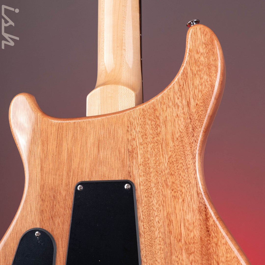 PRS SE Custom 24 Blue Matteo Natural Back
