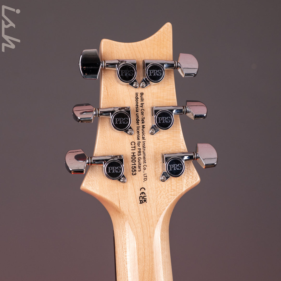 PRS SE Custom 24 Blue Matteo Natural Back