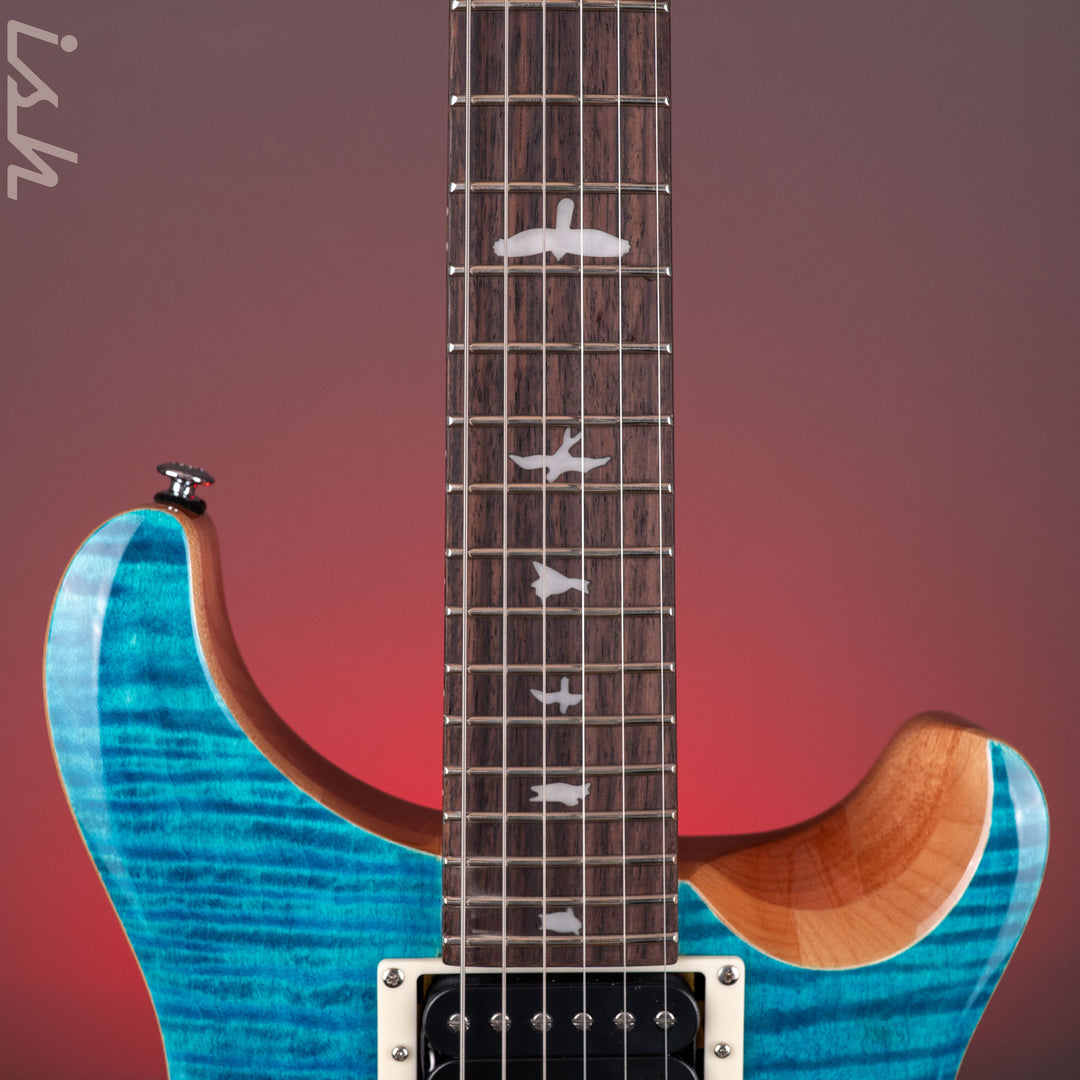 PRS SE Custom 24 Blue Matteo Natural Back