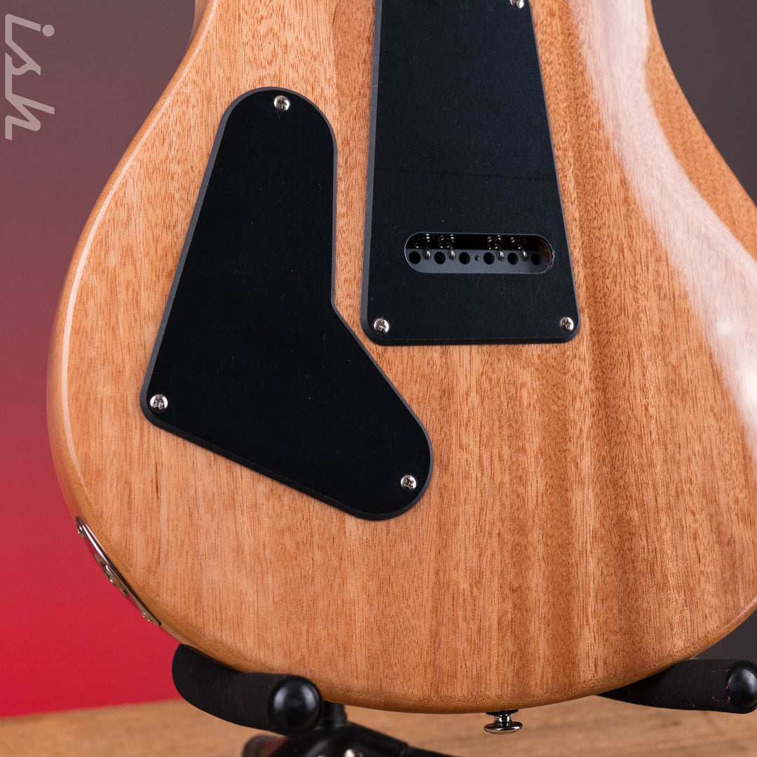PRS SE Custom 24 Blue Matteo Natural Back