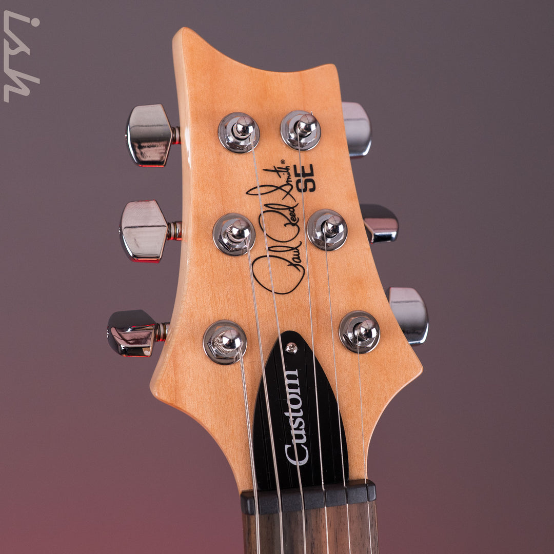 PRS SE Custom 24 Blue Matteo Natural Back