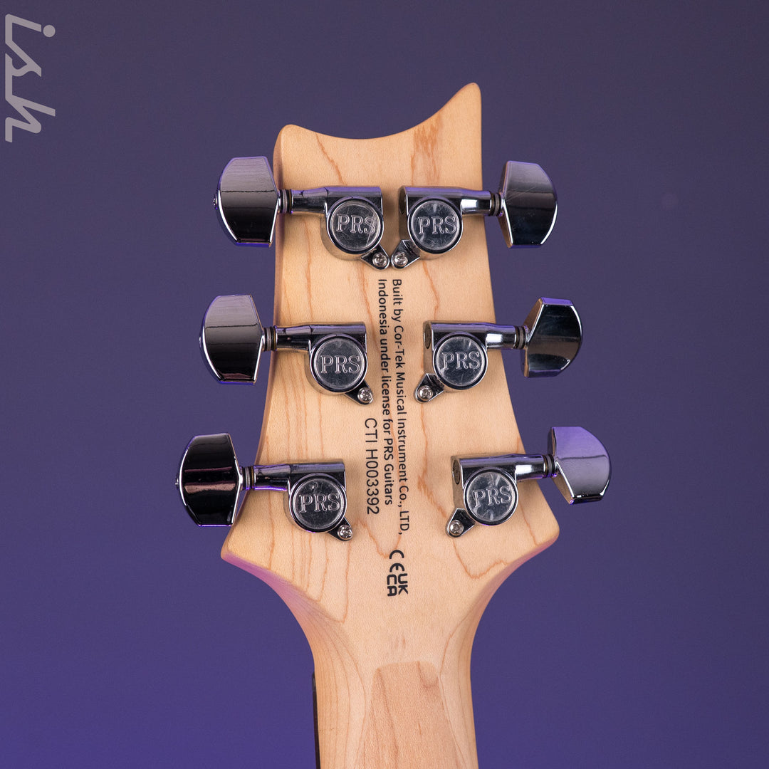 PRS SE Studio Standard Rosewood Sage Green