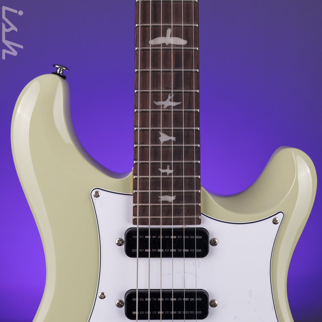 PRS SE Studio Standard Sage Green