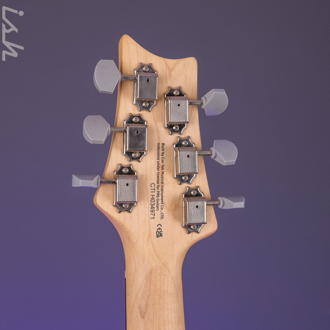 PRS SE Silver Sky Dandy Lion
