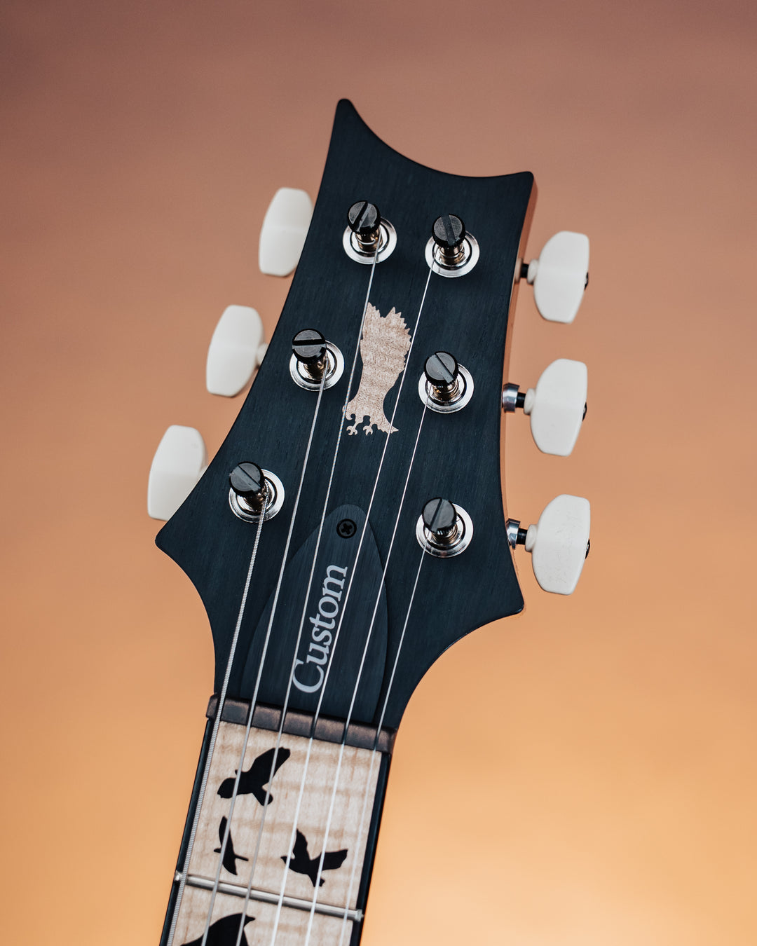 PRS Custom 24 “Birds of a Feather” Limited Edition Blood Red *Coming Soon*