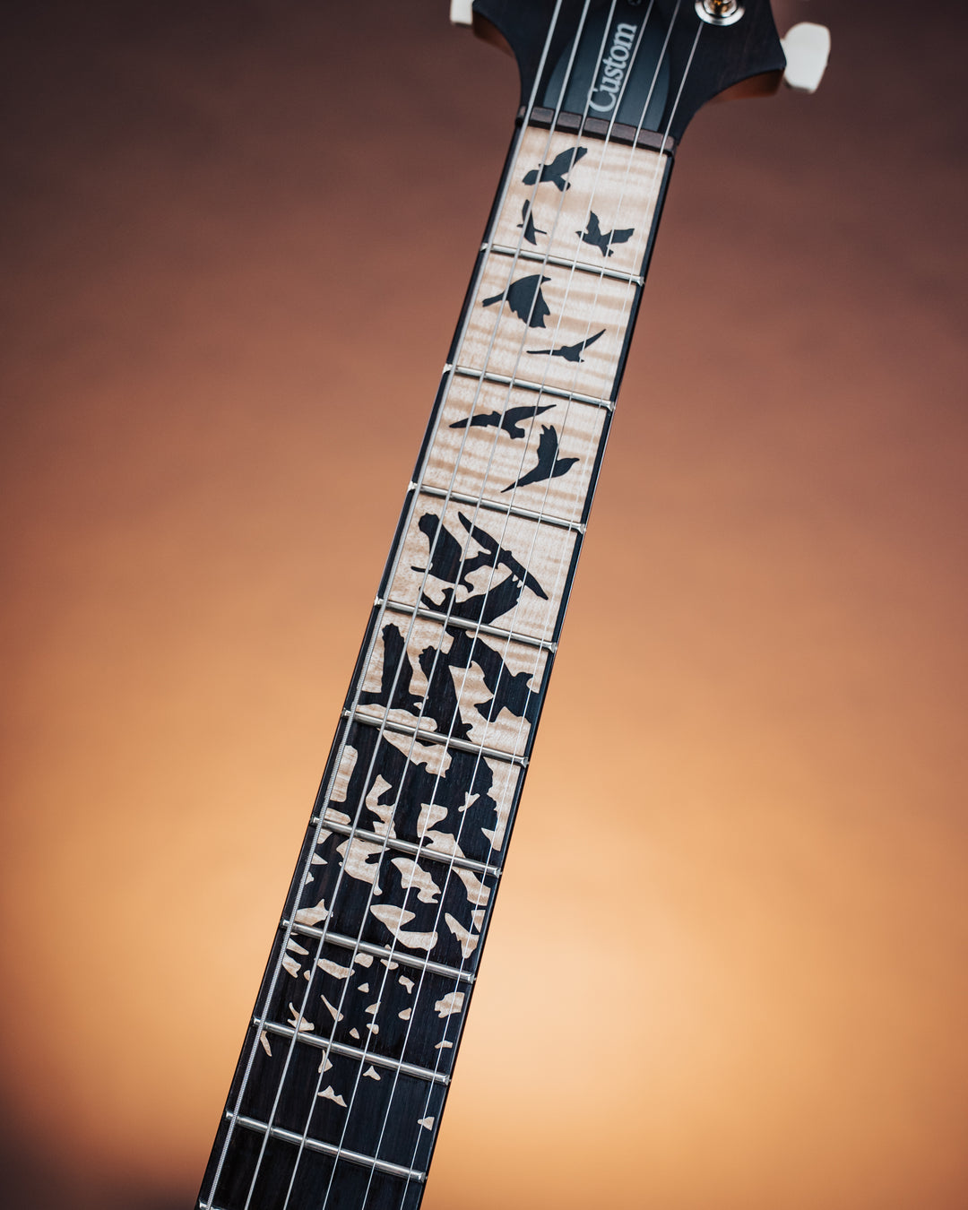 PRS Custom 24 “Birds of a Feather” Limited Edition Charcoal Microburst *Coming Soon*