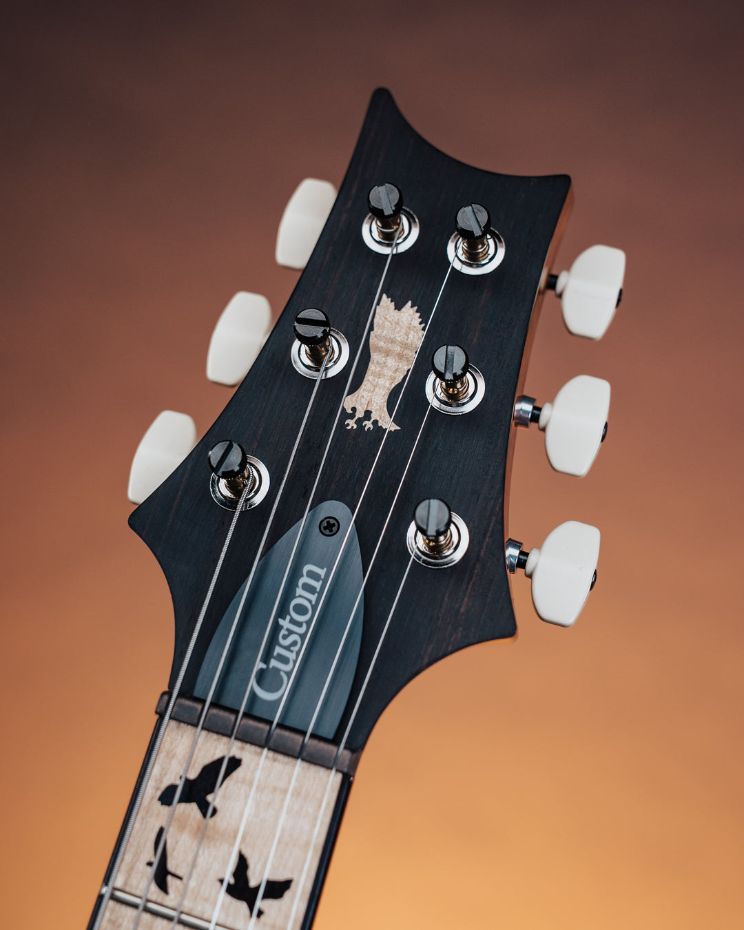 PRS Custom 24 “Birds of a Feather” Limited Edition Charcoal Microburst *Coming Soon*