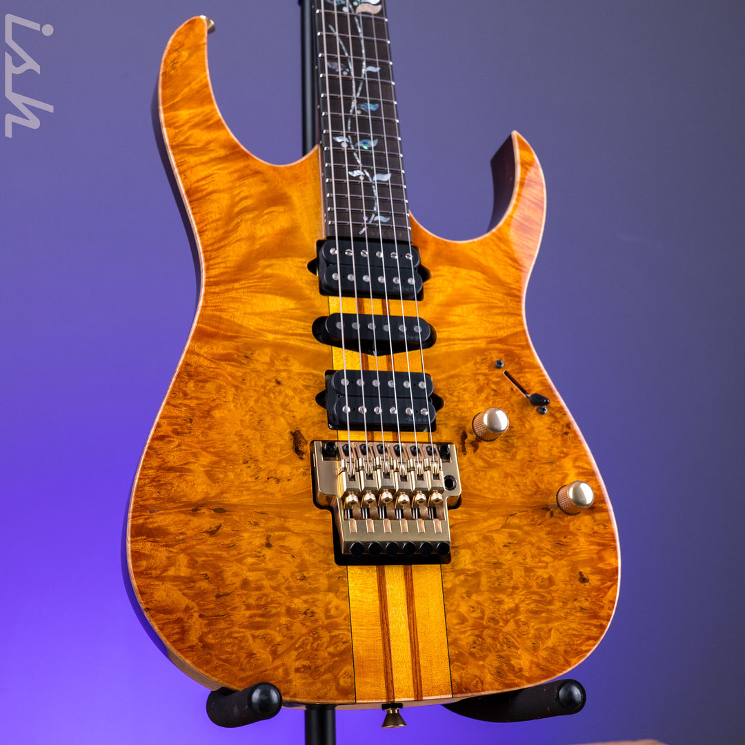 Ibanez Japan Custom Shop Visions IV1RG Electric Guitar