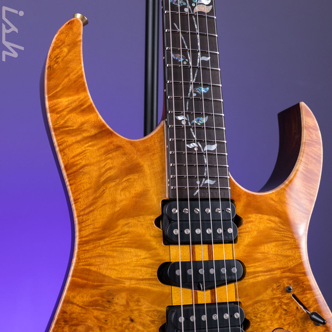 Ibanez Japan Custom Shop Visions IV1RG Electric Guitar