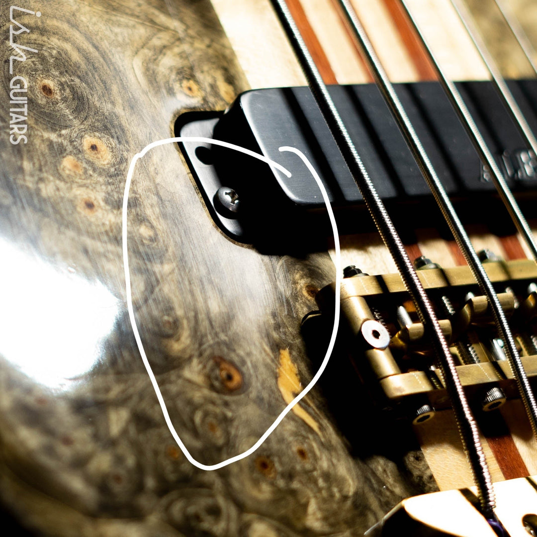 2005 Alembic Essence 5 String Natural