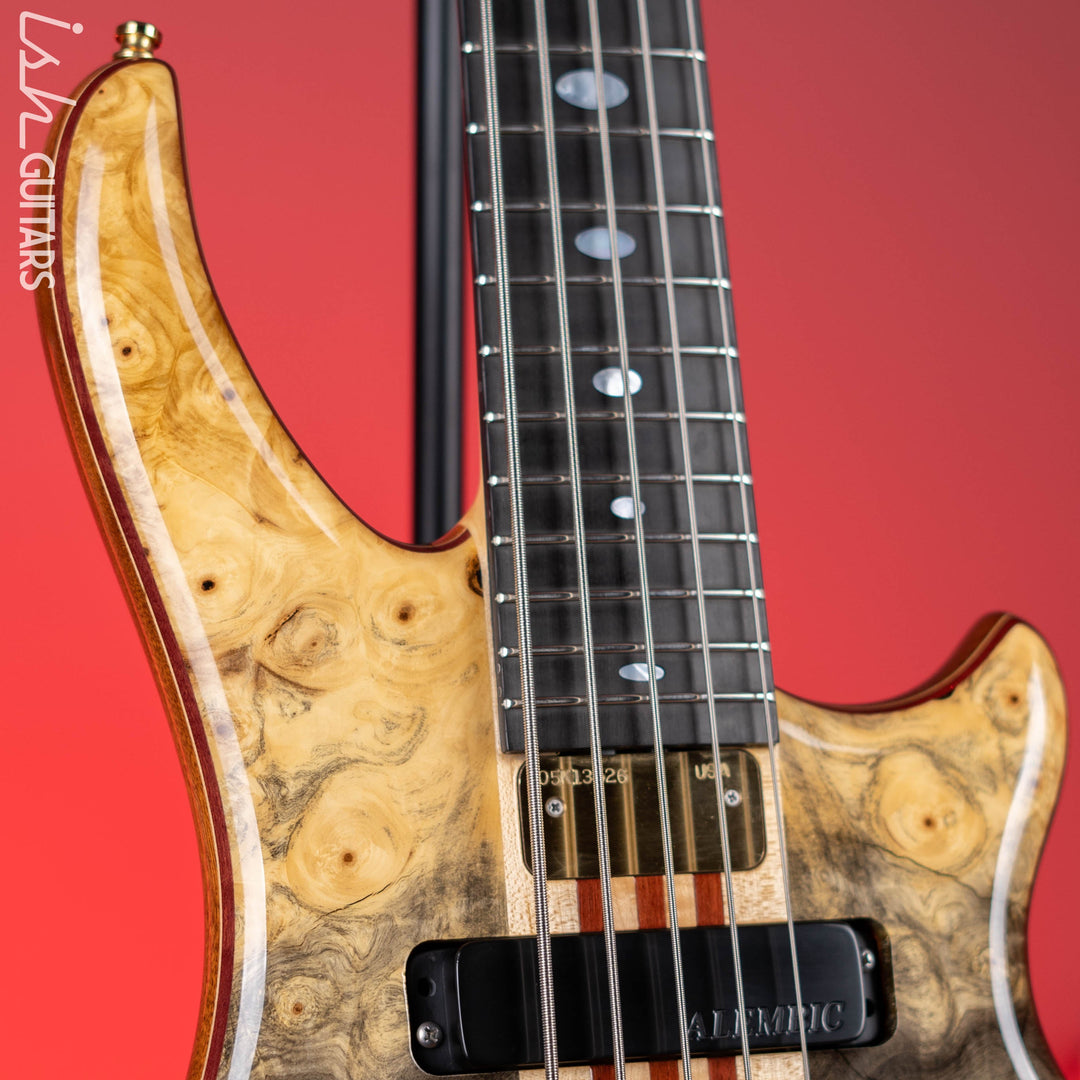 2005 Alembic Essence 5 String Natural
