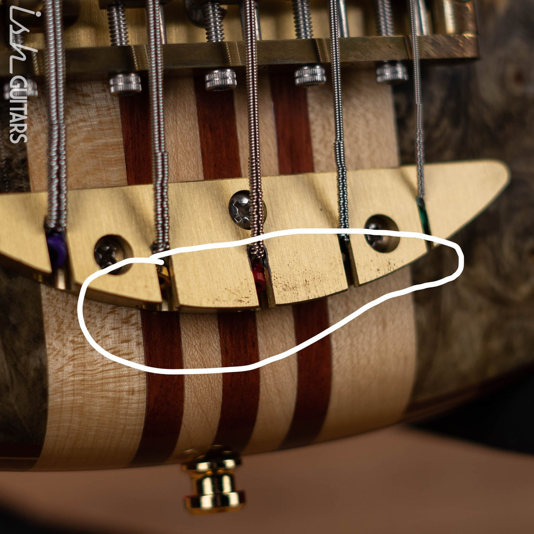 2005 Alembic Essence 5 String Natural
