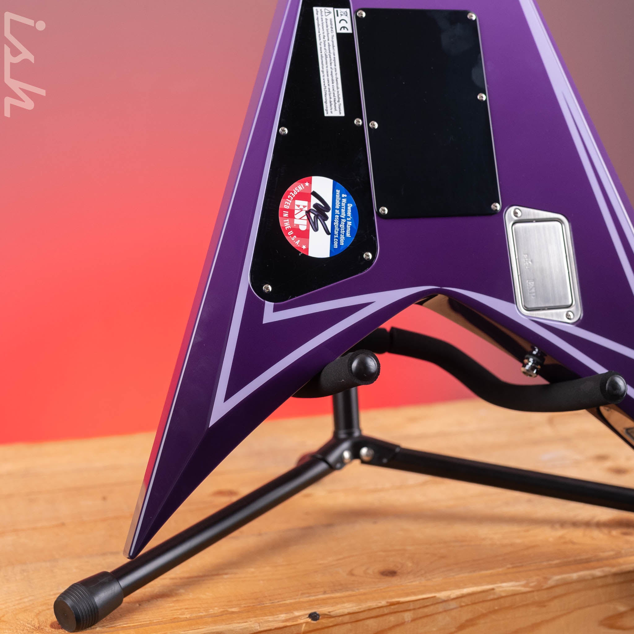 ESP Custom Shop Alexi Hexed Purple Fade Demo – Ish Guitars