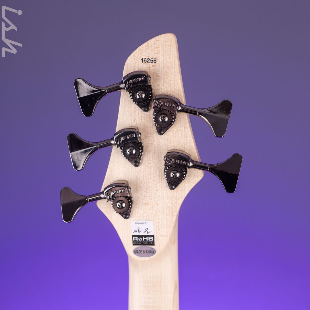 Dingwall NG-3 5-String Bass Guitar Matte Celestial Blue