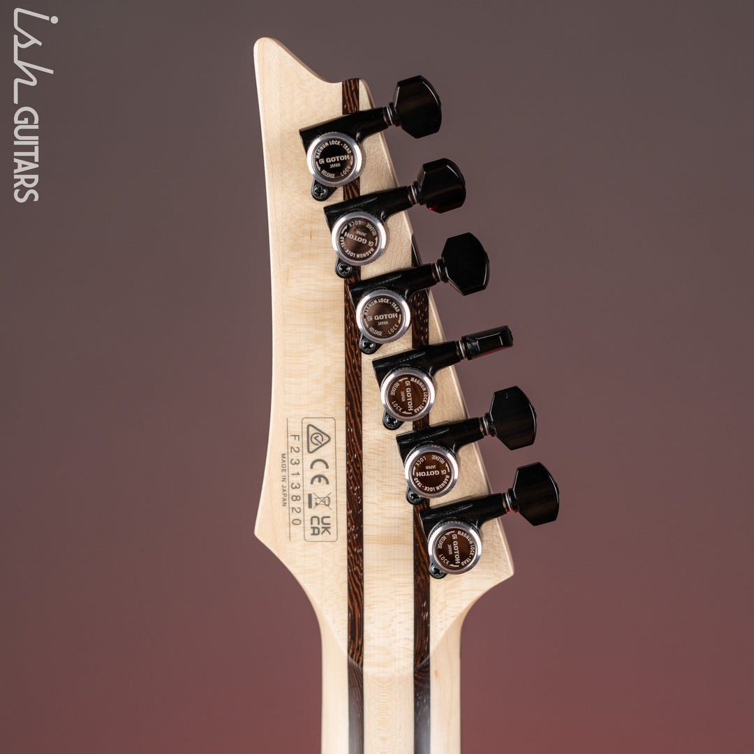 Ibanez RGD3121 Prestige Electric Guitar Polar Lights Flat