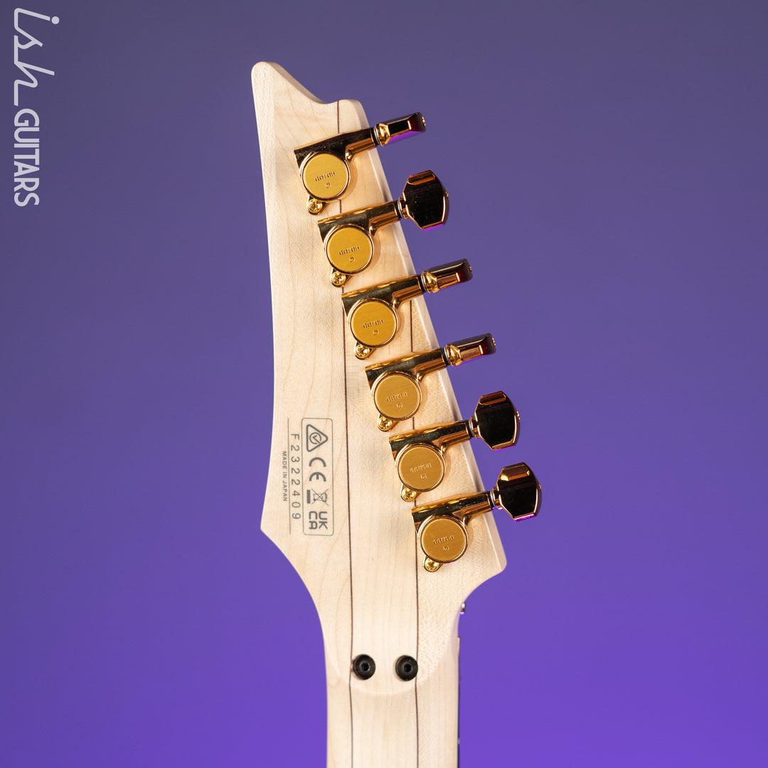 Ibanez PIA3761 Steve Vai Signature Stallion White