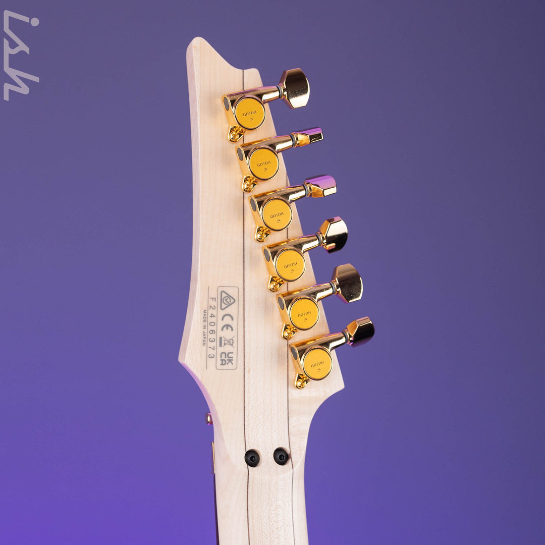 Ibanez Steve Vai Signature PIA3761 Stallion White Demo