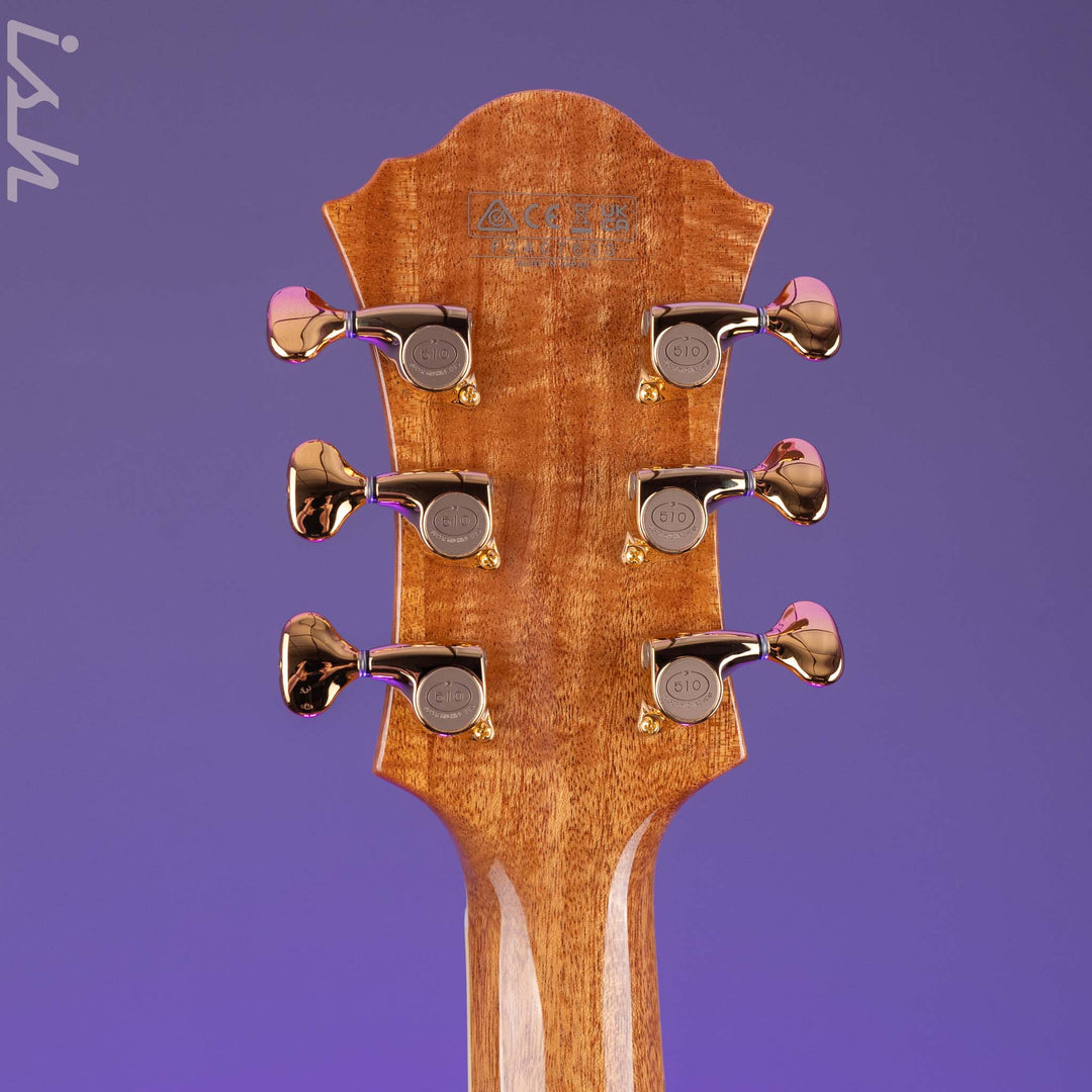 Ibanez PM200 Pat Metheny Signature Hollowbody Natural