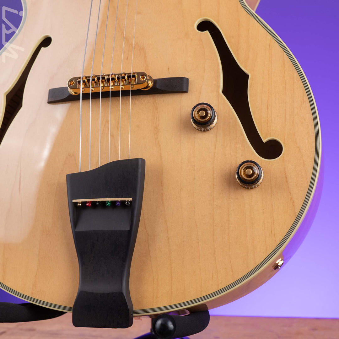 Ibanez PM200 Pat Metheny Signature Hollowbody Natural