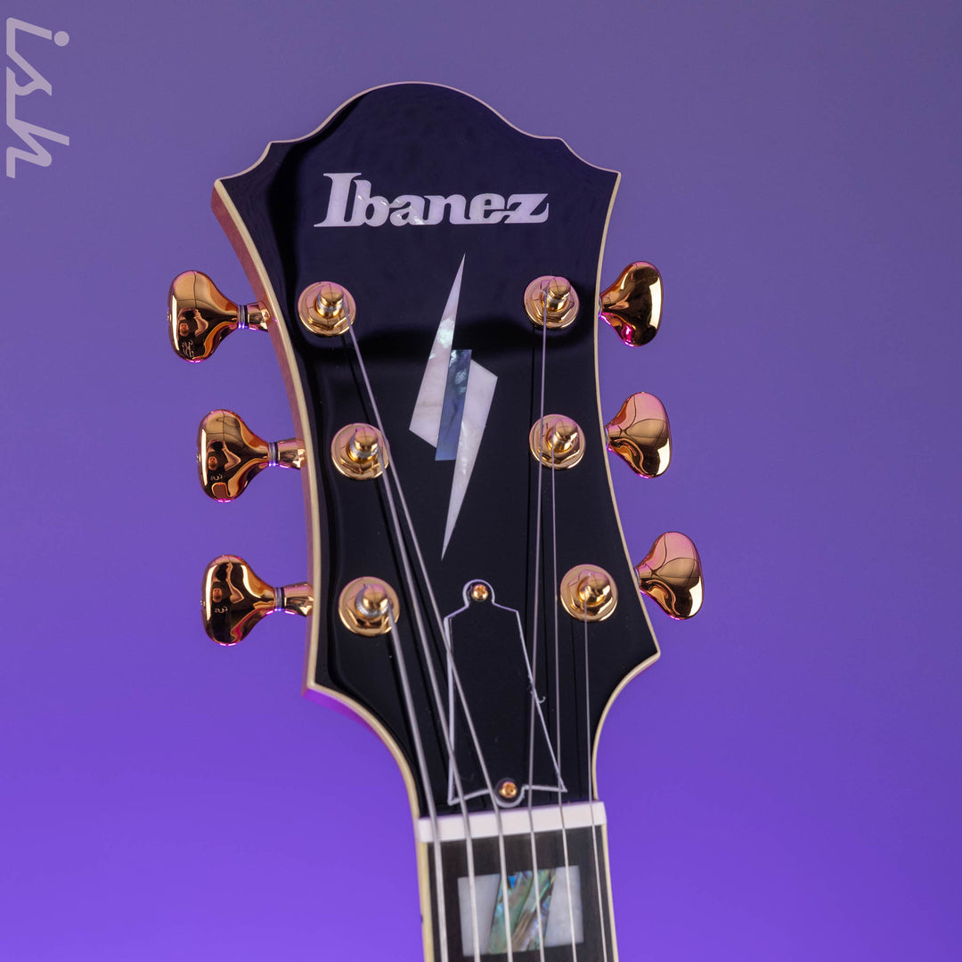 Ibanez PM200 Pat Metheny Signature Hollowbody Natural
